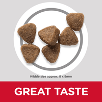 Hills Science Plan -  Kitten - Chicken -1.5kg