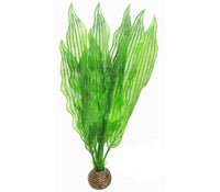 SUPERFISH - EASY PLANTS - 30CM
