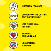 Dreamies - Cat Treat Biscuits with Catnip - 200g