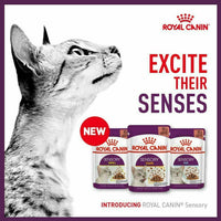 Royal Canin - Sensory Cat Food - Variety Multipack (in gravy)