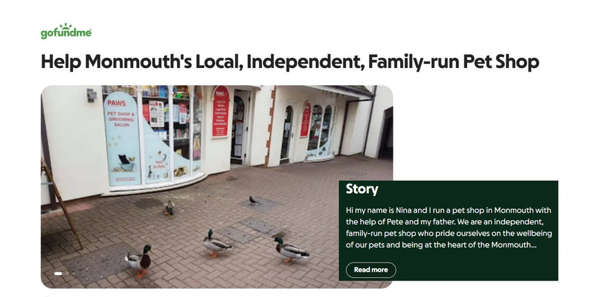 Paws Monmouth Flood Update