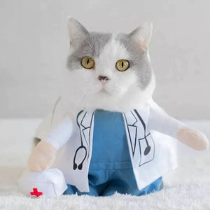 CAT HEALTH > Pet Cat Care & Health