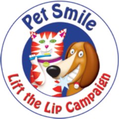 Pet Dental Month (Feb)