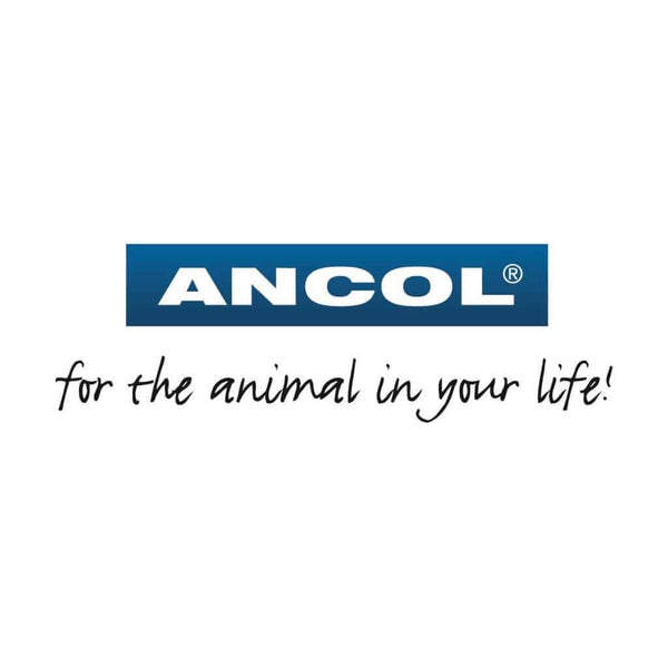 All - Ancol - Dog