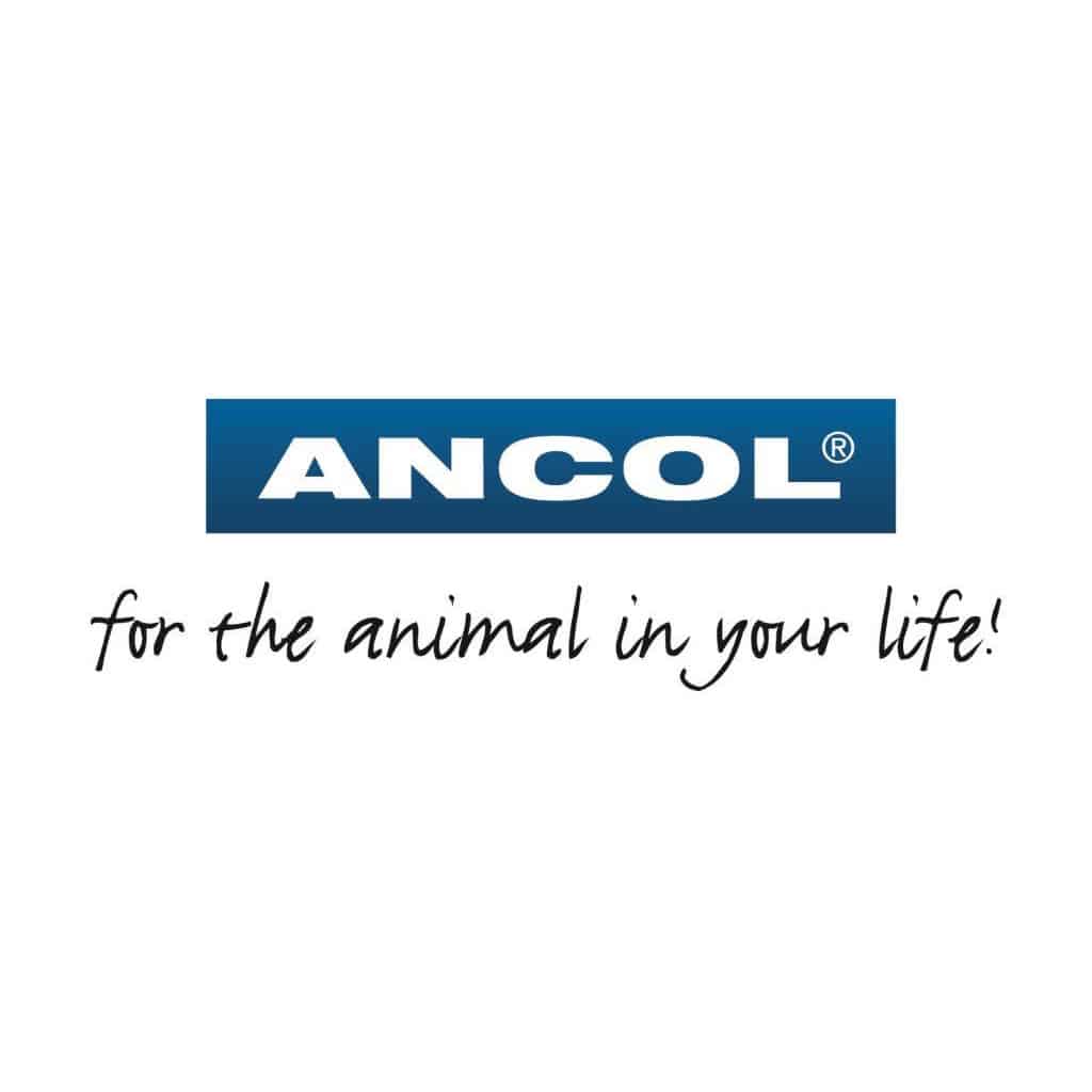 All - Ancol - Cat
