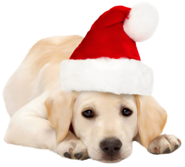 Christmas (winter)