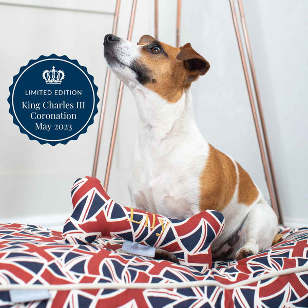 British Themed - Coronation