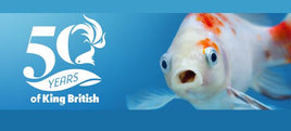 King British - Celebrating 50 Years