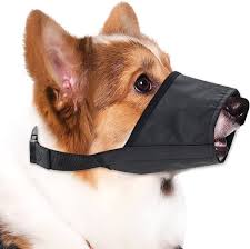 Muzzle