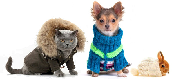 Winter Collection