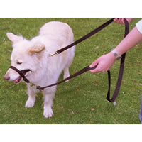 Halti Training Lead - Red
