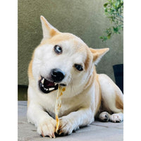 Earth Animal - NoHide Chew, Beef