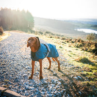 Danish Design - Ultimate 2in1 Dog Coat, Blue