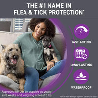 Frontline Plus Spot On Small Dog (2-10kg)