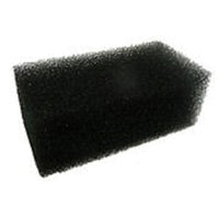 Betta - Internal Sponge