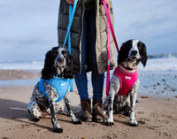 #Doodlebone - Padded Lead, Teal Stars - 20mm