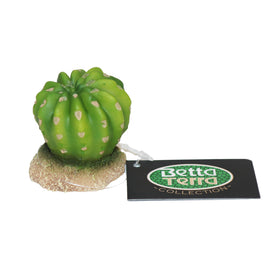 Betta - Terra Round Green Succulent