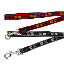 Dog & Co - Correa para Perros Chevron, Colores Vivos - Grande (2,5 cm x 122 cm)