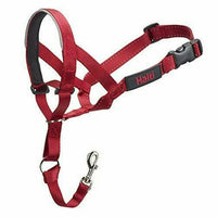 Company Of Animals - Halti Head Collar - Red