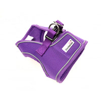 Doodlebone - Snappy Harness, Violet