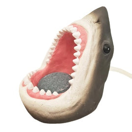 Betta - Shark's Mouth with Air Stone