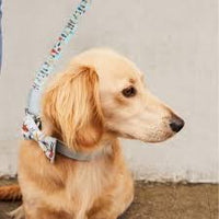 Cath Kidston - London People Leather/fabric Printed Pet Collar - Large