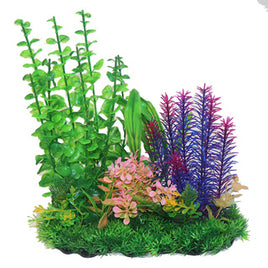 Betta - Green & Purple Combi Plant - 13`