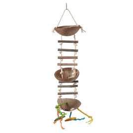 Sky Pet - Coconut Feeder With Ladder