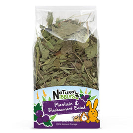 Natural Nibbles - Plantain & Blackcurrant Salad - 90g