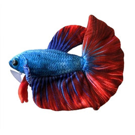 Betta - Betta Fish Plush