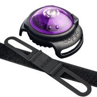 Orbiloc - Dual Dog Safety Light - Purple