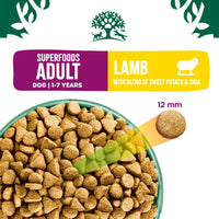 James Wellbeloved Adult Dog, Superfoods Lamb