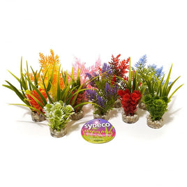 Rosewood - Sydeco Nano Fiesta Aquarium Plants