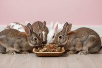 Natural Nibbles - Healthy Salad Bowl - 40g