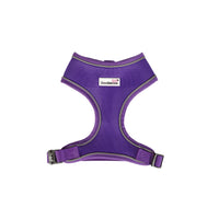 Doodlebone - Original Airmesh Harness, Violet