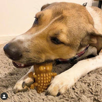 Miro & Makauri - Peanut Crocodile - Medium