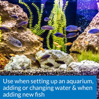 API - Quick Start