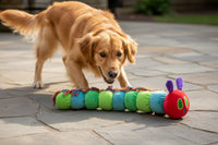 Happy Pet - The Very Hungry Caterpillar Plush