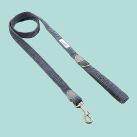 Doodlebone - Padded Lead, Blue Cord