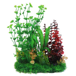 Betta - Green & Red Combi Plant -  13`