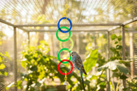 JW - Bird Olympic Rings Toy