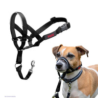Company Of Animals - Halti Head Collar - Black