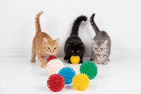 Trixie -  Vinyl Hedgehog Play Ball Cat Toy, Asst Colour - 3 cm