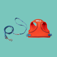 Doodlebone - Cat Harness & Lead, Tangerine/Reef