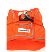Doodlebone - Snappy Harness, Tangerine