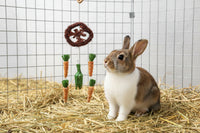 Happy Pet - Dream Catcher Hanging Toy