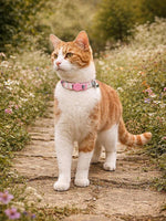 Cath Kidston - Cowgirl Cat Collar