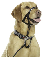 Company Of Animals - Halti Head Collar - Black