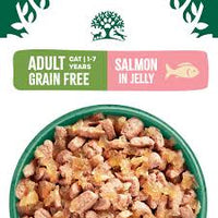 James Wellbeloved - Adult Grain Free Cat 12 Pouches - Salmon - 85g