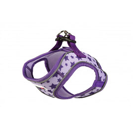 Doodlebone - Snappy Harness, Violet Stars